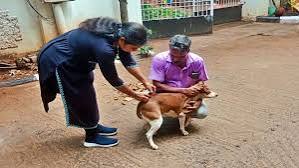 தெரு நாய்களுக்கு ரேபீஸ் தடுப்பூசி செலுத்தும் பணி தாமதமாவதாக புகாா்