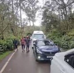 கொடைக்கானல்: தொடர் விடுமுறையால் குவிந்த சுற்றுலா பயணிகள்; அணிவகுத்த வாகனங்கள்