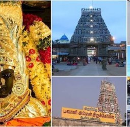 ஒருநாள் அம்மன் கோவில் சுற்றுலா’ போகலாமா?