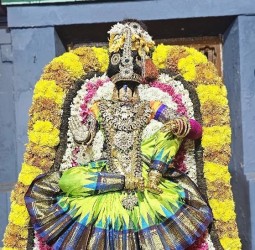ஸ்ரீ பிரசன்ன வெங்கடேச பெருமாள் புரட்டாசி பிரம்மோற்சவம்