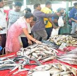 மீன் வரத்து அதிகரிப்பால் மீன் விலை வீழ்ச்சி