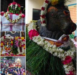 புரட்டாசி மாதம் தேய்பிறை பிரதோஷ வழிபாடு.....