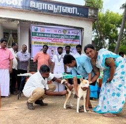 பேராவூரணியில் இலவச வெறி நோய் தடுப்பூசி முகாம்