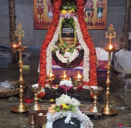 வடதண்டலம் அருள்மிகு தவ முலைநாயகி உடனுறை ஸ்ரீதண்டலேஸ்வரர் கோயிலில் பிரதோஷம் முன்னிட்டுசிறப்பு வழிபாடு: