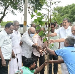 விளாத்திகுளத்தில் மரக்கன்றுகள் நடும் விழா