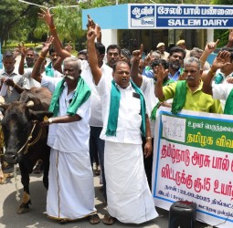 விவசாயிகள் சங்கத்தினர் நேற்று பசு மாடுகளுடன் ஆர்ப்பாட்டத்தில் ஈடுபட்டனர்
