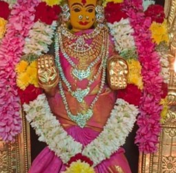 ஸ்ரீ வாசவி கன்யகா பரமேஸ்வரி அம்மன் இன்றைய சிறப்பு அலங்காரத்தில்