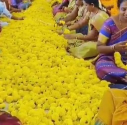 திருப்பதி கோவிலுக்கு 5 டன் சாமந்திப்பூமாலை