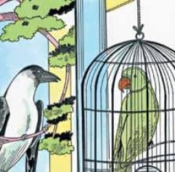 காகமும், கிளியும்...