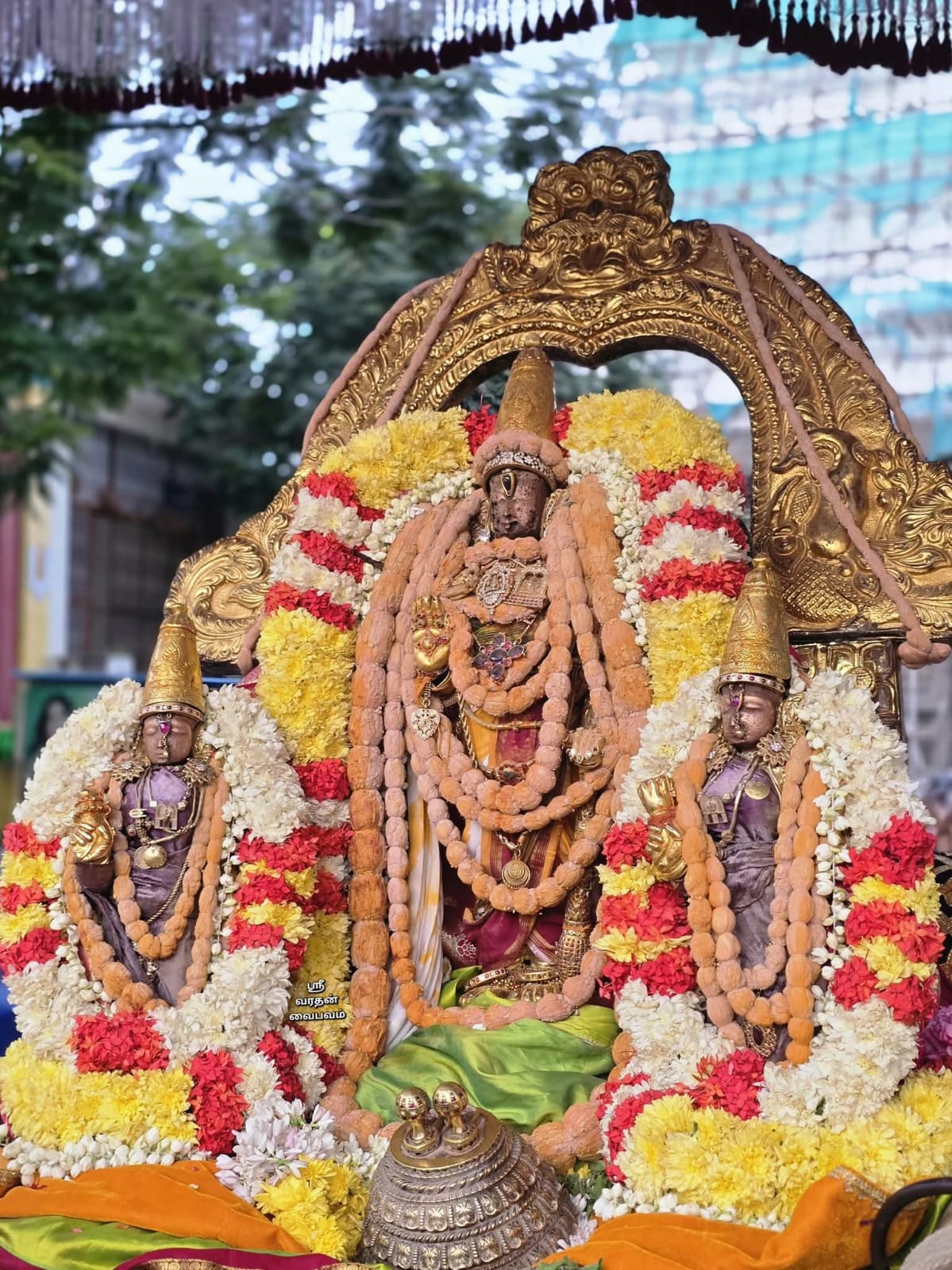 ஸ்ரீ வரதன் திருப்பவித்ர உற்சவம்