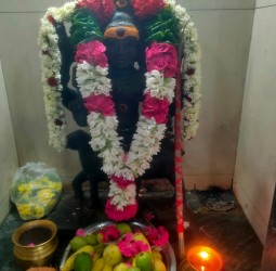 தமிழ்நாடு இ பேப்பர் டாட் காம் மற்றும் அருள் தரும் தெய்வம் இதழின் சார்பில் சிறப்பு அலங்காரத்தில் அருள்பாலிக்கும் காலபைரவர்