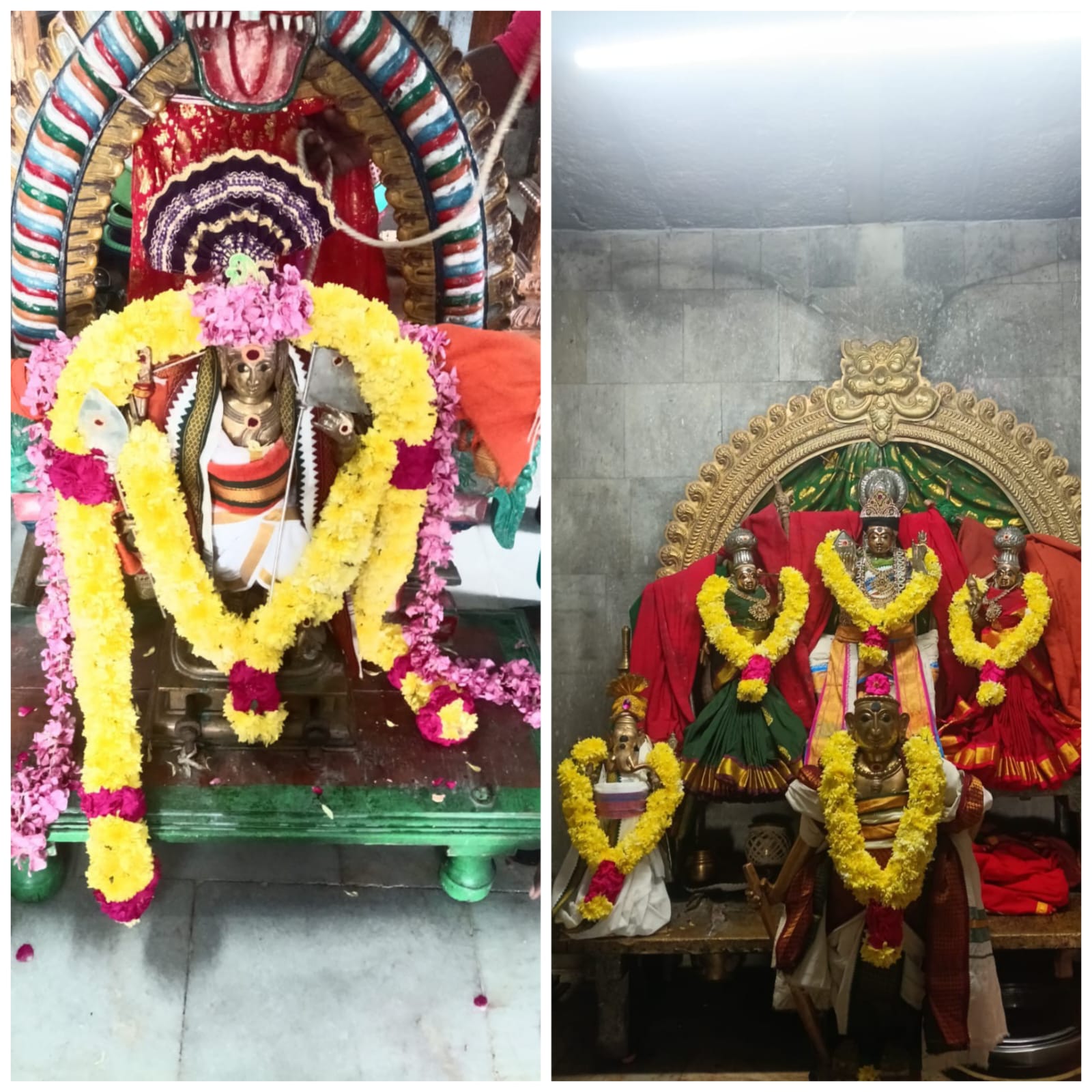ஸ்ரீ தண்டபாணி சுவாமிமலை கோவிலில் ஆவணி திருவோணம் கொடி உற்சவம்