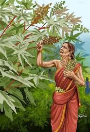 நம் முன்னோர்கள் நமக்கு விட்டுச் சென்ற ஆரோக்கியப் பொக்கிஷங்கள்