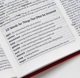 22 ஆண்டுகளுக்குப் பிறகு மெரியம் - வெப்ஸ்டர் டிக்‌ஷனரி! 5,000 புதிய சொற்கள்!