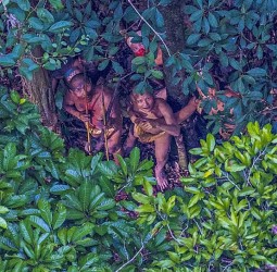 அமேசான் பாதுகாப்புக்காக போராடியவர்கள் படுகொலை