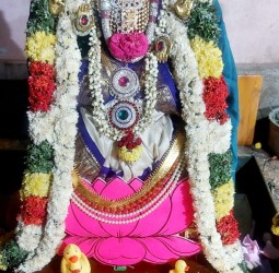 ஸ்ரீ பிரஸன்ன வேங்கடேஸப் பெருமாள் திருக்கோவிலில் நேற்று (25.09.2025) நவராத்திரி மூன்றாம் நாள் ராமர் அலங்காரத்திலும் மற்றும் தனித்தாயார் தடாகத்தில் சங்கு சக்கர ஹஸ்த அலங்காரத்திலும் காட்சி