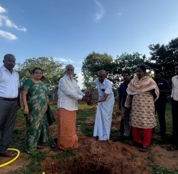 திருக்கோயிலுக்கு சொந்தமான நிலத்தில் மரக்கன்றுகள் நடும் திட்டம்