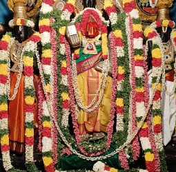 கோலியனூர் ஸ்ரீ வரதராஜ பெருமாள் ஸ்ரீ உப்பிலியப்பன் அவதாரத்தில் பக்தர்களுக்கு அருள் பாலிப்பு!
