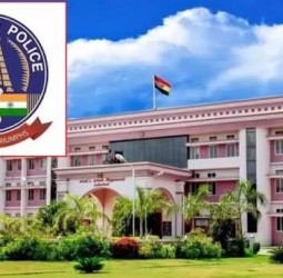 போலி ஆன்லைன் பட்டாசு விற்பனை மோசடி: நெல்லை காவல்துறை தகவல்