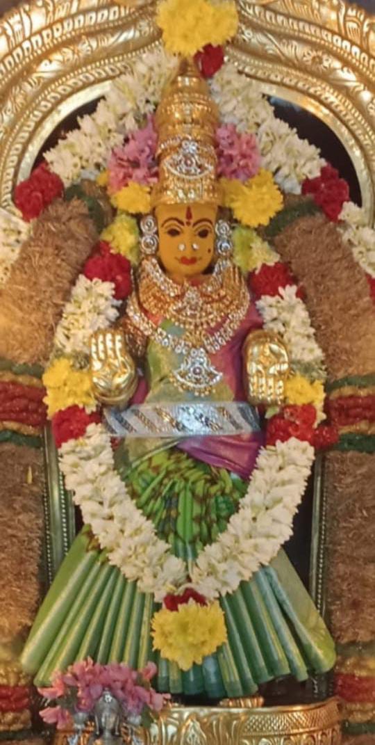 சிறப்பு அலங்காரத்தில் ஸ்ரீ வாசவி கன்யகா பரமேஸ்வரி அம்மன்
