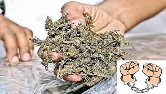 பூந்தமல்லியில் 21 கிலோ கஞ்சா கடத்தல்: 3 வடமாநில ஆசாமிகள் கைது