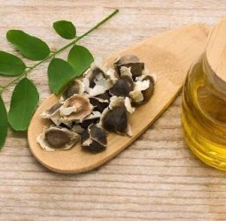 முருங்கை எண்ணெய் (Moringa oil): இது என்னவெல்லாம் பண்ணும் தெரியுமா?