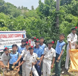 டெல்டா மாவட்டங்களில் ஒரு கோடி பனை விதைகள் விதைக்கும் பணி.