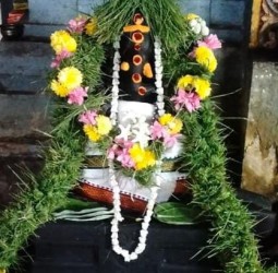 விநாயகப் பெருமானுக்கு அருகம்புல் மாலையுடன், எருக்கன் பூ மாலையுடன் அலங்காரத்தில் அருள் பாலிக்கும் காட்சி