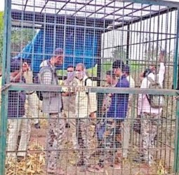 புலியைப் பிடிக்காததால் கிராம மக்கள் ஆத்திரம்: கர்நாடகாவில் 7 வனத் துறையினர் கூண்டில் அடைப்பு