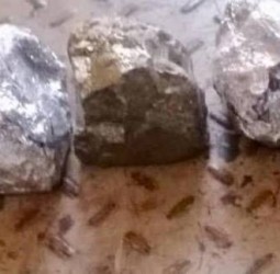 இரிடியம் பெயரில் பல கோடி மோசடி: 30 பேரை கைது செய்தது சிபிசிஐடி