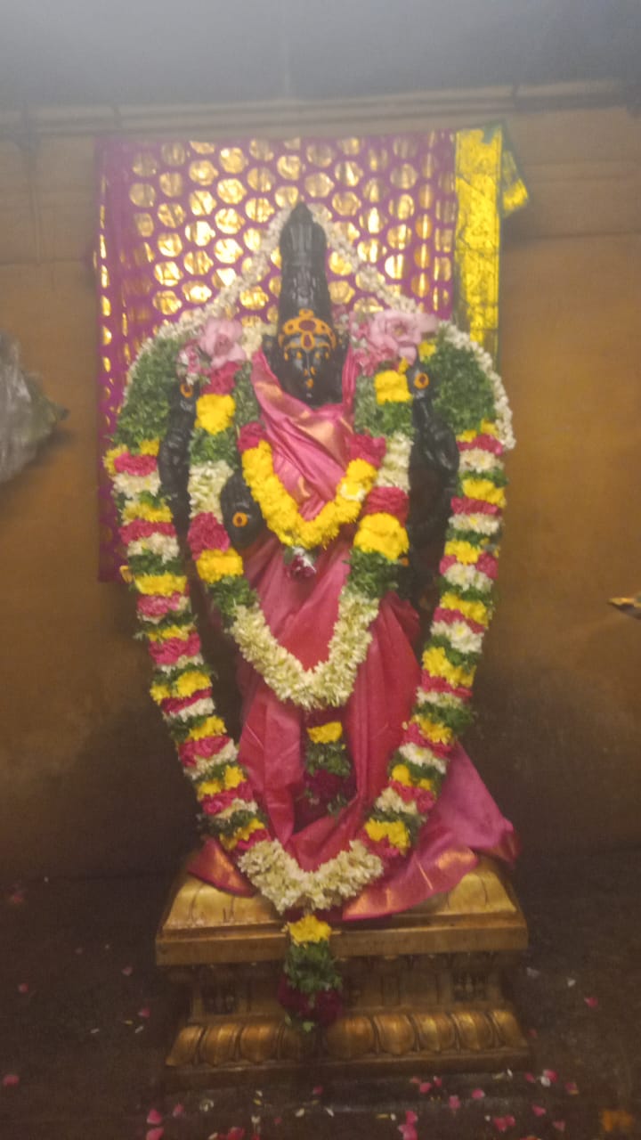 சிறப்பு அலங்காரத்தில் திருமெய்யம் ஸ்ரீ வேணுவனேஷ்வரி