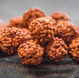 ருத்ராட்சம்