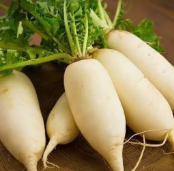 பசி எடுக்கலையா? செரிமானப் பிரச்னையா? உங்கள் கிச்சனில் இருக்கும் இந்த 'அற்புத கிழங்கு' பற்றித் தெரியுமா?