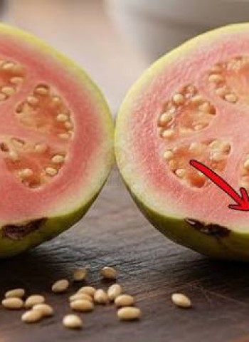 கொய்யா விதைகள் வயிற்று வலியை ஏற்படுத்துமா?