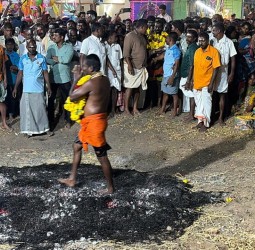 ஏனாதி பூங்குளம் அய்யனார் கோயிலில் மாசித் திருவிழா