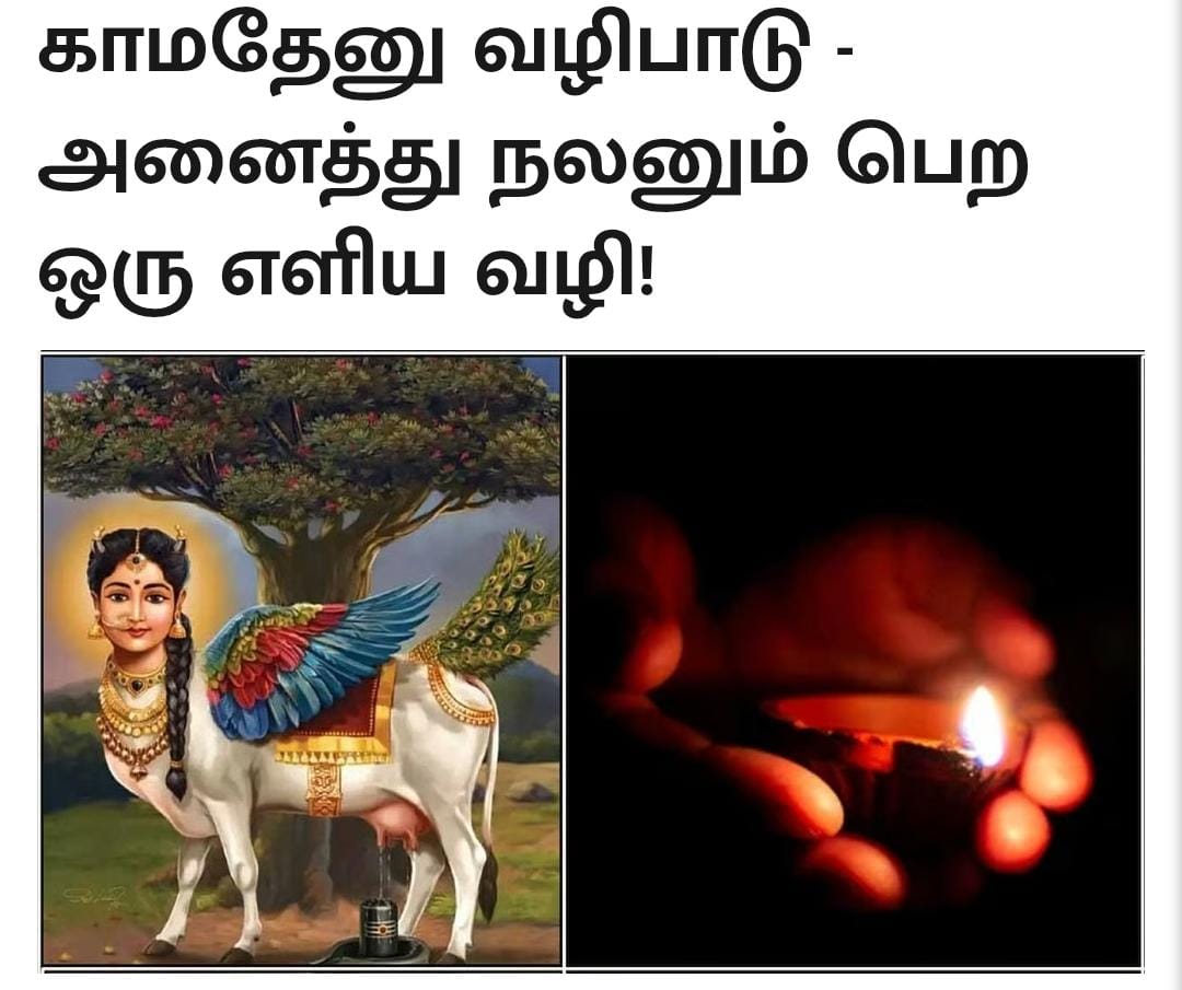 காமதேனு வழிபாடு - அனைத்து நலனும் பெற ஒரு எளிய வழி!