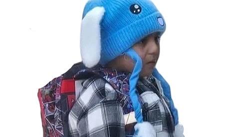 அமெரிக்க குடியேற்றச் சோதனையில் கைதான 5 வயது சிறுவனை விடுவிக்க நீதிமன்றம் உத்தரவு!