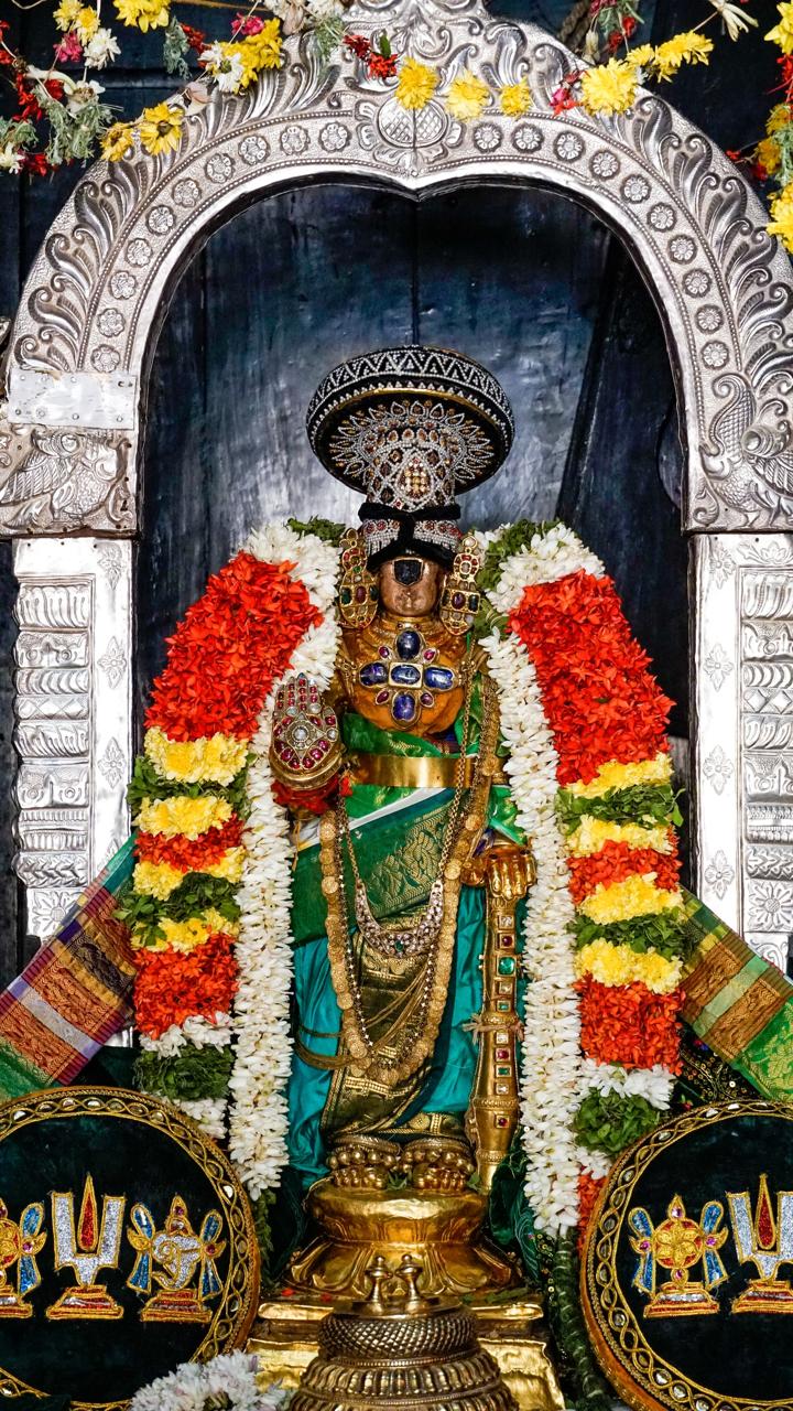 ஸ்ரீரங்கம் அரங்கநாத சுவாமி திருக்கோயில் நம்பெருமாள்