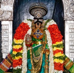 ஸ்ரீரங்கம் அரங்கநாத சுவாமி திருக்கோயில் நம்பெருமாள்