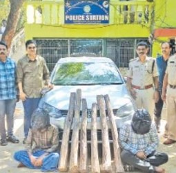 திருப்பதியில் போலீசார் அதிரடி 6 செம்மரக்கட்டைகளை கடத்திய 2 பேர் கைது