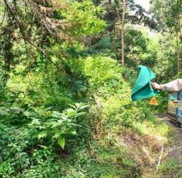 குளு குளு ஊட்டியில் காண வேண்டிய முக்கியமான இடங்கள்!