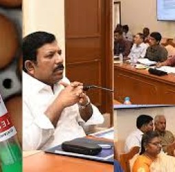 பறவை காய்ச்சல் பற்றிய வதந்திகளை பொதுமக்கள் நம்ப வேண்டாம் - தமிழக அரசு அறிவுறுத்தல்