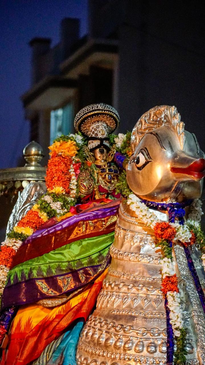 ஸ்ரீரங்கம் அரங்கநாத சுவாமி திருக்கோயில் நம்பெருமாள் மாசி தெப்ப திருப்பள்ளி