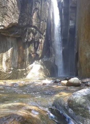 தேனருவி