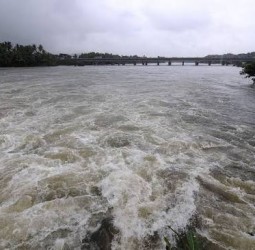 பிப்.13-ல் காவிரி நீா் மேலாண்மை ஆணையம் கூடுகிறது!