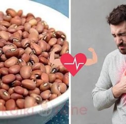 இதயத்தை 'இரும்பு' போல மாற்றும் இந்த ஒரு ஒரு மேஜிக் பயிறு!