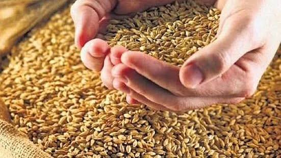 25 லட்சம் டன் கோதுமை ஏற்றுமதிக்கு மத்திய அரசு அனுமதி