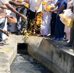 கிருஷ்ணகிரியில் விவசாயத்துக்காக பாம்பாறு அணையில் தண்ணீர் திறக்கப்பட்டது