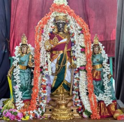 ஸ்ரீ பார்த்தசாரதி பெருமாள் தெப்பம் திருமஞ்சனம்