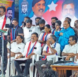 பொதுக் கூட்டத்தில் விசிக தலைவர் திருமாவளவன் எம்.பி